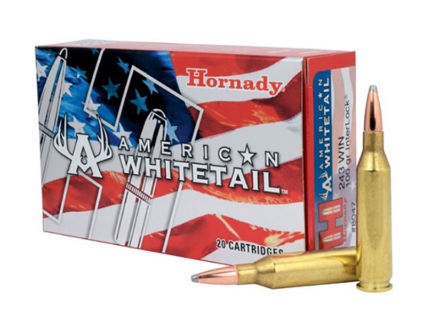 Slika METAK KARABINSKI 243 WIN 100 GR HORNADY