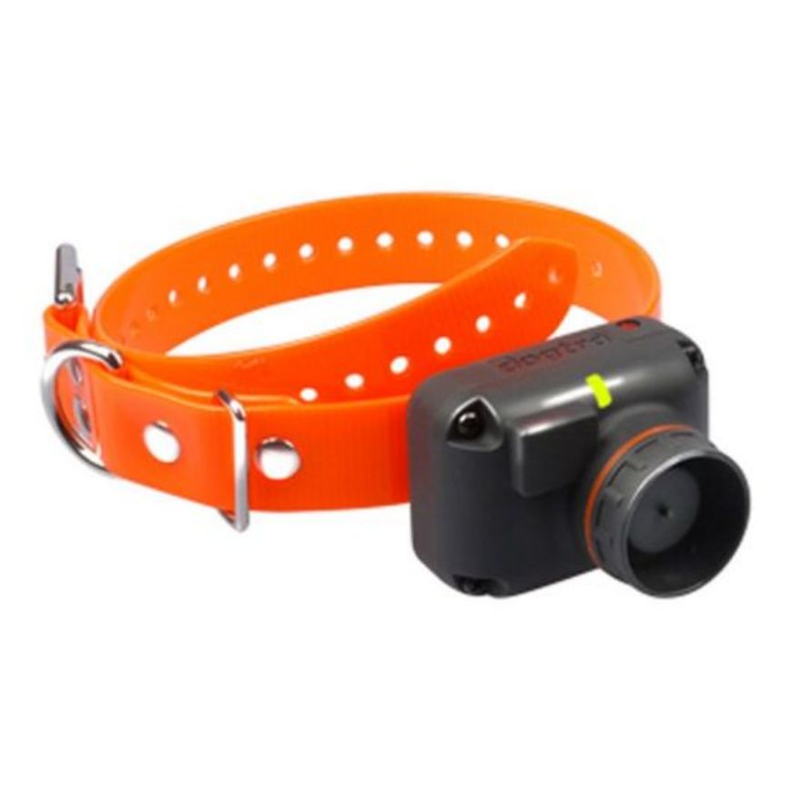 Slika OGRLICA DODATNA 2600(2602)T&B-COLLIER SUPPL-ORANGE